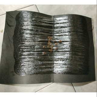 Combo 10 miếng keo dính chuột