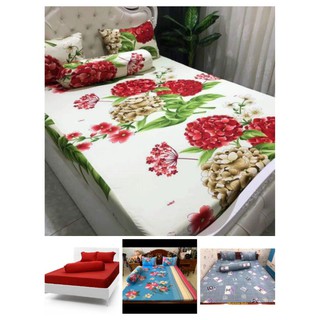 Ga lẻ thun hàn quốc
