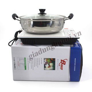 Bếp Từ Bosco BC-IH01D