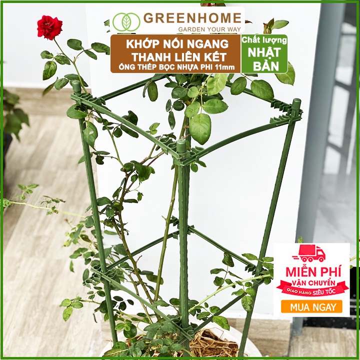 Bộ 5 Thanh liên kết ống phi 11mm, Nhật Bản, Daim, hỗ trợ làm khung, giàn cây leo, dễ lắp ráp |Greenhome