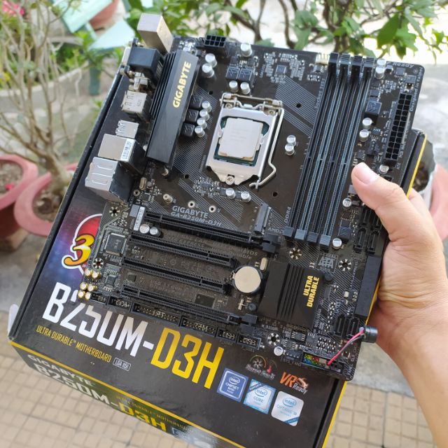 Main Gigabyte B250M-D3H
