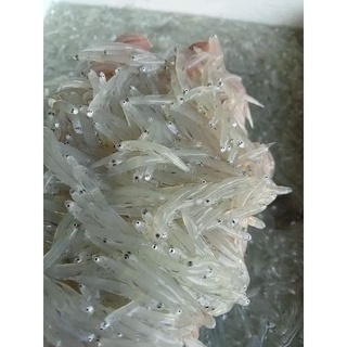 1kg khô cá mờm sữa (cá cơm ngần) Hà Tĩnh