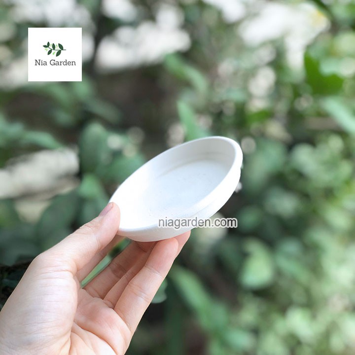 Đế lót đất nung tròn 8cm, lót chậu cây cảnh