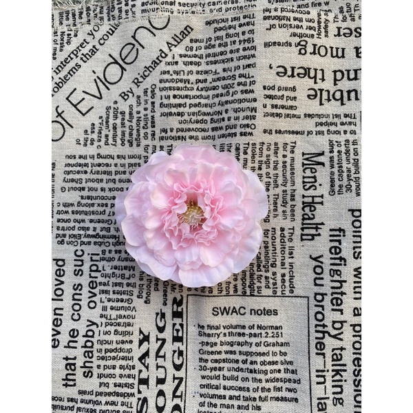 Đầu Bông Trà Tràm Cao Cấp Decor Trang Trí Cắm Hoa | Hà Hoa Flower