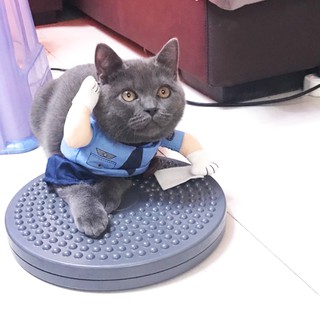 Đồ Mặc Cho Mèo Hình Dễ Thương