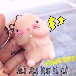 Bé Ciu - Đồ chơi Squishy dễ thương và Mô hình cao su gián giả dùng trang trí hù dọa, prank
