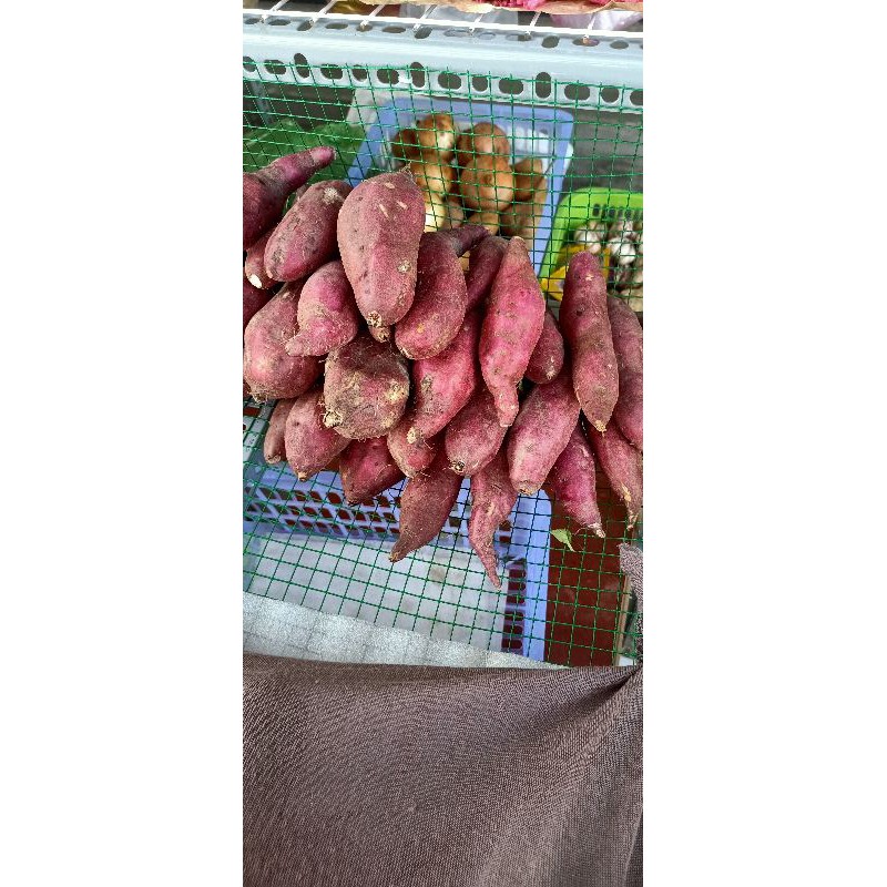 Khoai lang Nhật tươi 1kg