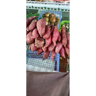 Khoai lang Nhật tươi 1kg