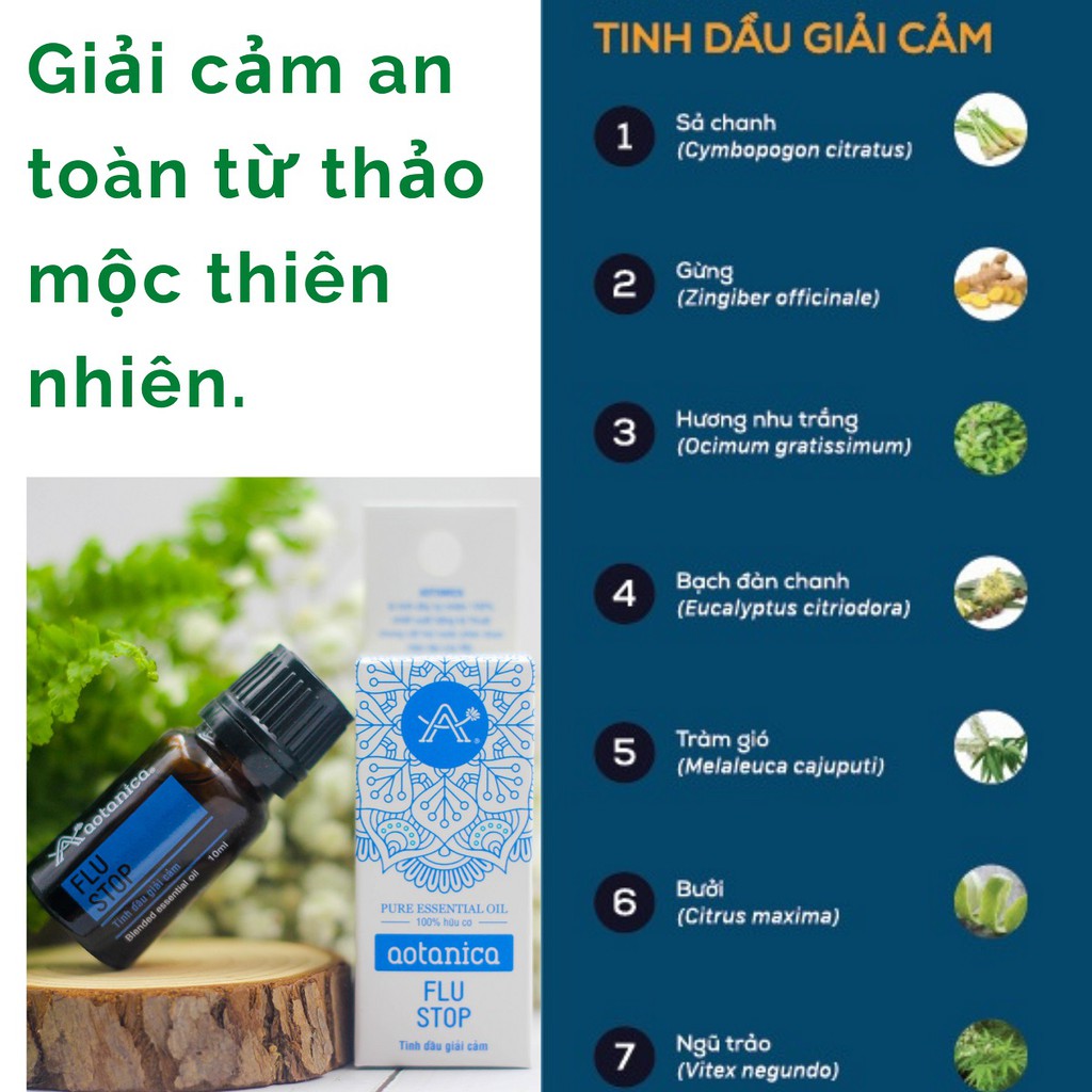 Tinh dầu giải cảm phân đoạn Aotanica