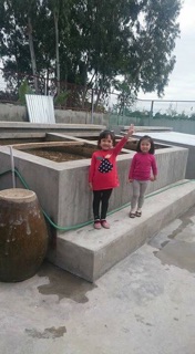 Mắm chắt Cát Hải - mắm cá cơm