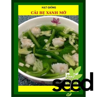 [GIỐNG CHỊU NHIỆT] 50G - Hạt Giống Cải Bẹ Xanh Mỡ
