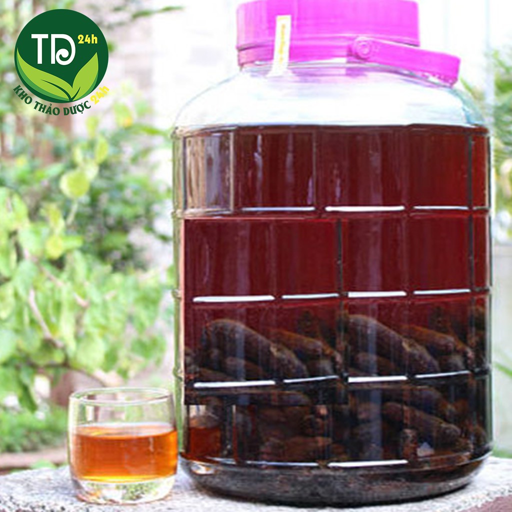 [1kg] Chuối hột rừng Tây Nguyên, hết đau lưng, nhức mỏi cơ thể, xương khớp | Kho thảo dược 24h