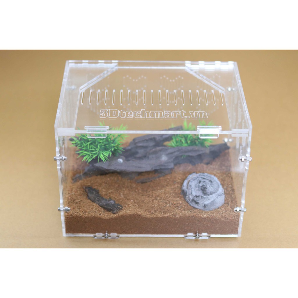 Hộp Nuôi Nhện Cao Cấp 20-15-15 (tank tarantula)