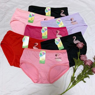 Combo quần chip thông hơi
