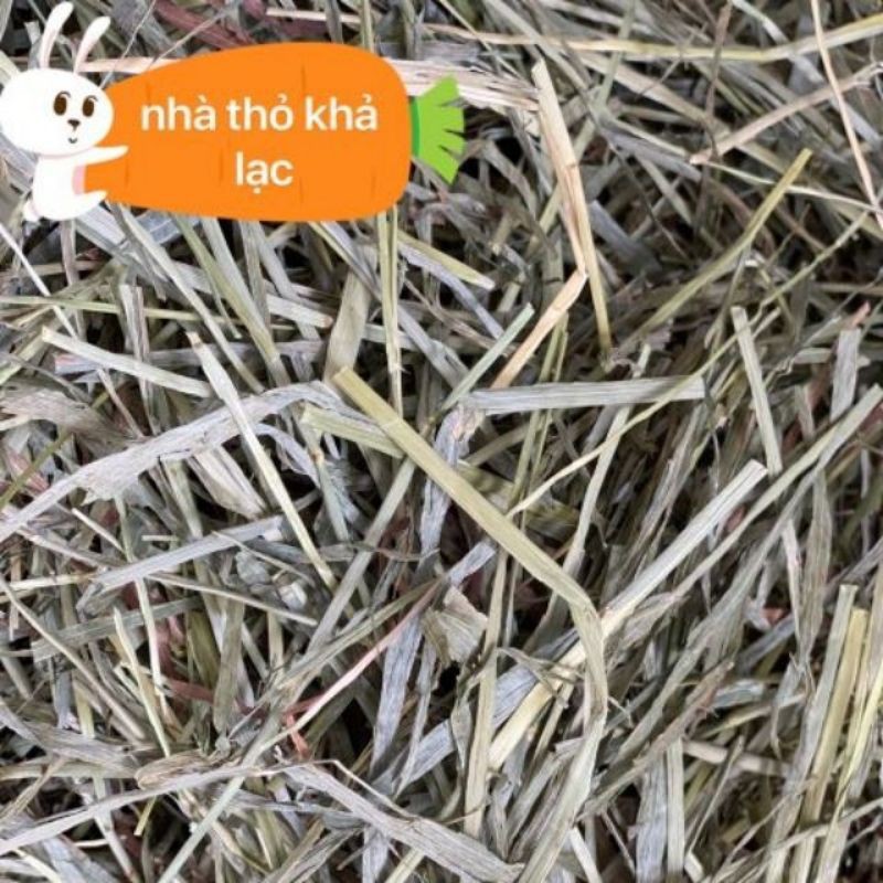 Cỏ Khô Timothy Dành Cho Thỏ - Bọ - Chilchila