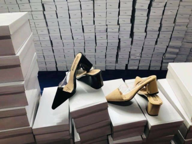 Sục trong pha mũi