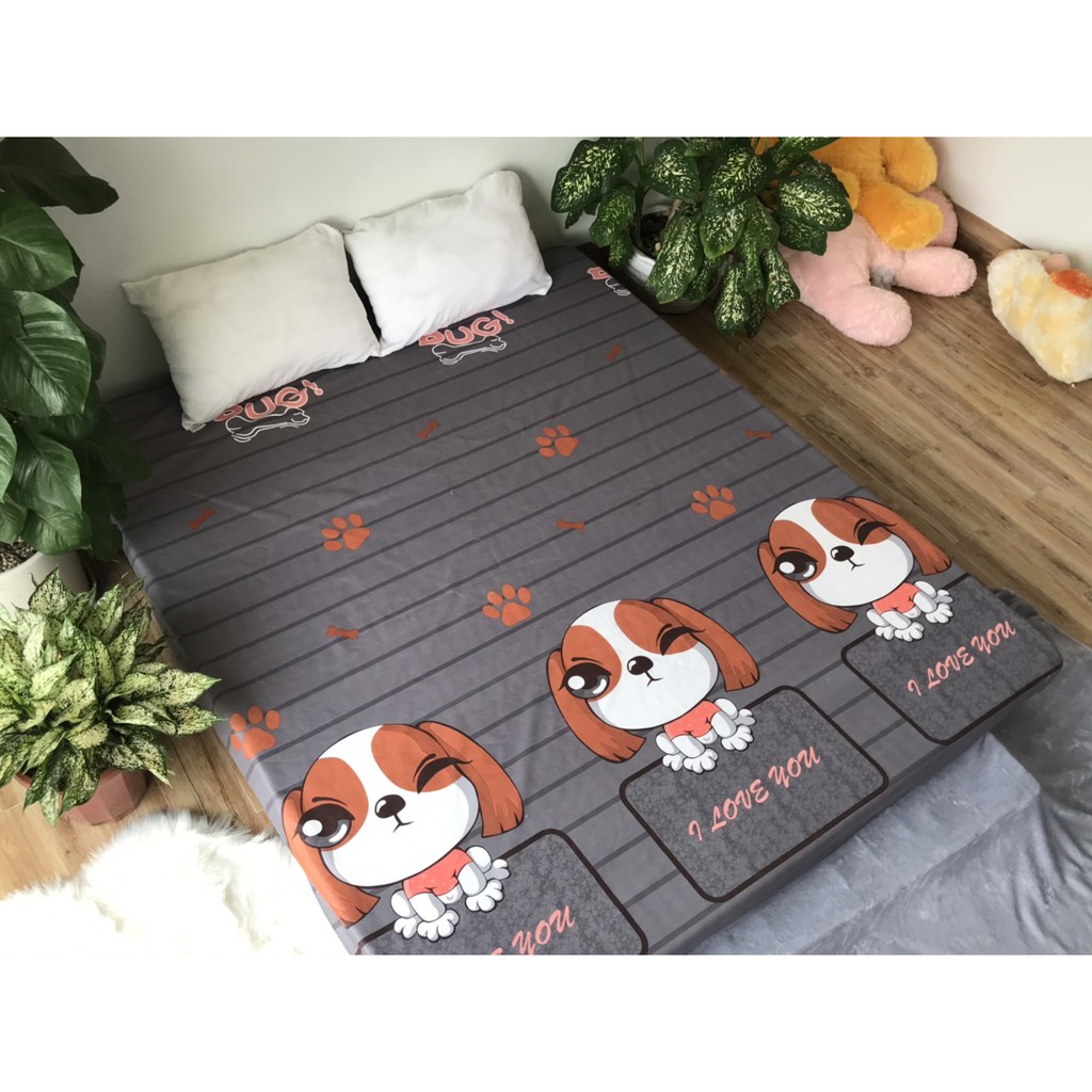 Ga Chống Thấm Cotton Hàn Quốc Chó Tai Dài CTT27