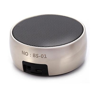 Loa bluetooth BS01,Vỏ Kim Loại, Bass Hay, Có Móc Treo Tiện Lợi, Có Khe Cắm Thẻ Nhớ, Cổng 3.5