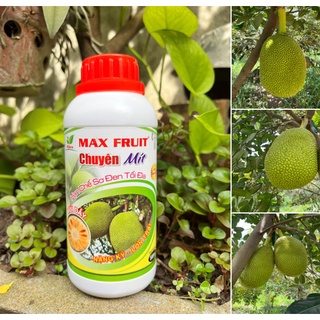 Phân bón lớn trái mít max fruit chai 0,5 lít - lớn trái, nặng cân, dày múi, hạn chế sơ đen tối đa