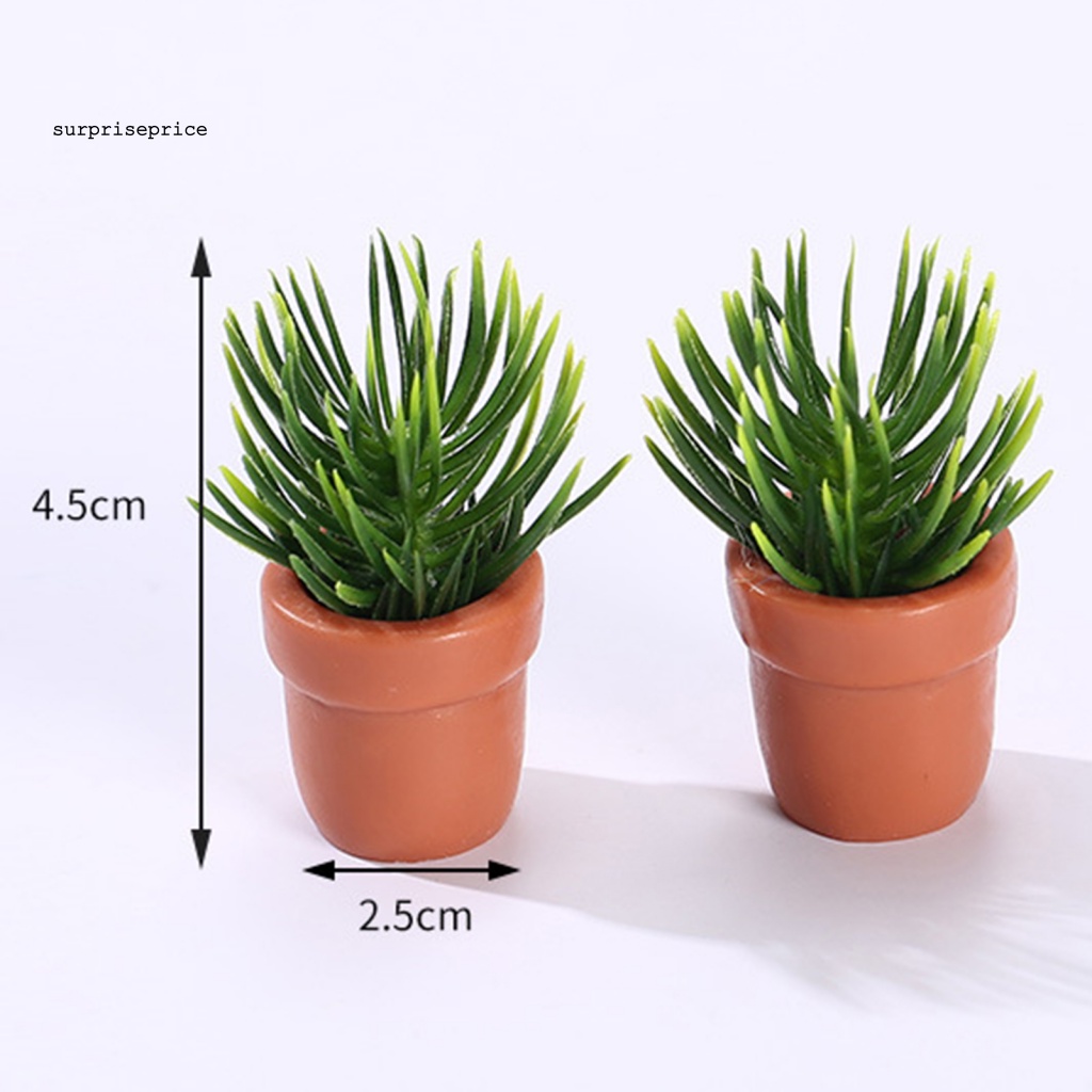 Mô Hình Chậu Cây Mini Bằng Nhựa Resin Dùng Trang Trí Tiểu Cảnh