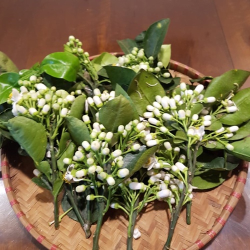 Xịt khoáng hoa bưởi tươi Aqua Farm, xịt khoáng hoa bưởi dưỡng tóc, nấu ăn,..xịt khoáng hữu cơ, an toàn cho cả nhà | BigBuy360 - bigbuy360.vn