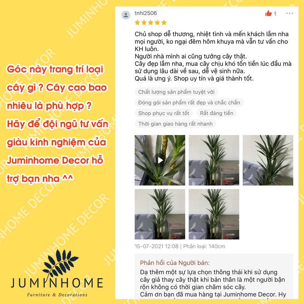 Cây giả, thiết mộc lan giả, phát tài núi - Cây giả decor trang trí nhà cửa nội thất phòng khách phòng ngủ