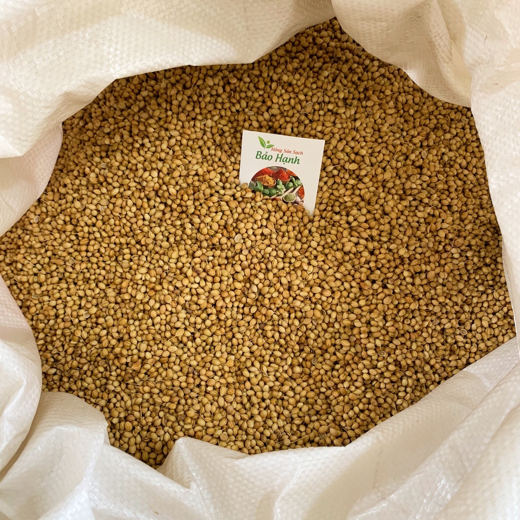 Hạt ngò hạt mùi ta 200gr Coriander Whole BH Spices gia vị nấu phở BHS019
