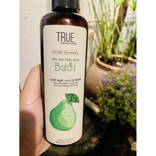 Sữa Tắm/Dầu Gội Thảo Dược