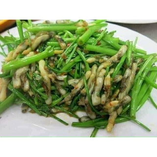 [ PHÚ NHUẬN] YN 🐚🐚RUỘT ỐC MÓNG TAY 1 KG🌿🌿