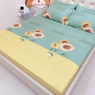 Ga gối chun cotton poly (3 món)