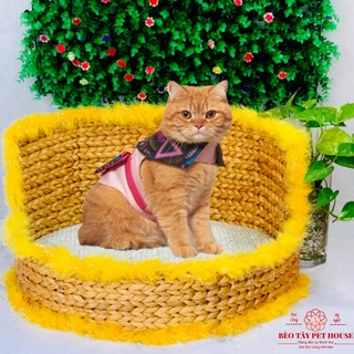 Nệm chó mèo ổ ngủ chó mèo chuồng quây