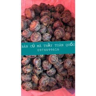 Củ mã thầy tươi 1kg ( Bán sỉ sll giá tốt - LH 0974699616)