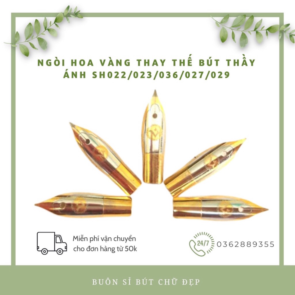 Ngòi Bút Máy Thay Thế- Ngòi Hoa Vàng Êm Trơn, Thanh Đậm - Cho Bút Mài Thầy Ánh Mã 022, 023, 036, 027, 029