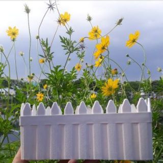 Chậu cây nhựa  chậu hàng rào trắng nhỏ