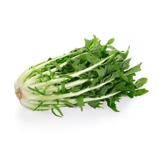 Hạt giống rau diếp xoăn Ý 100h