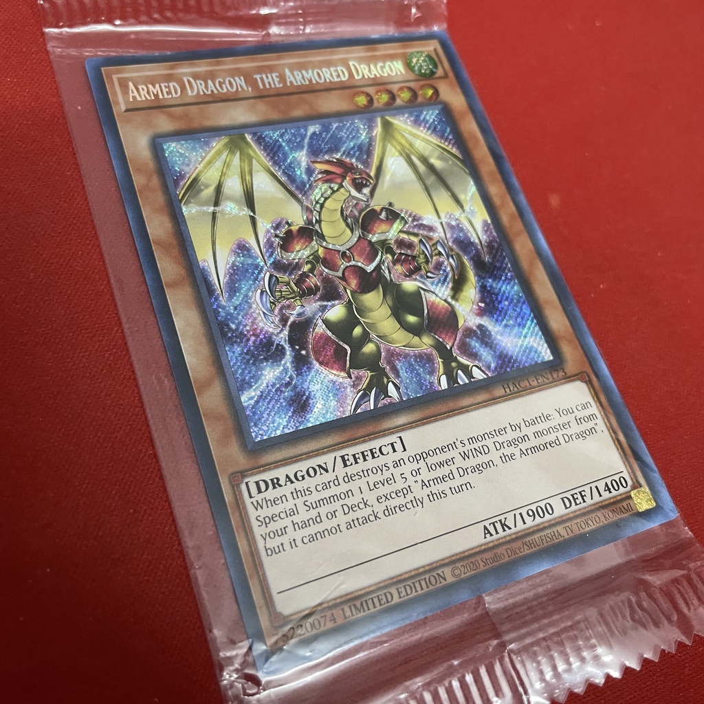 Armed Dragon The Armored Dragon