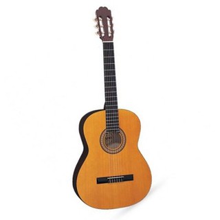 GUITAR DÂY NYLON SUZUKI SNG6-NL - Việt Thương Music