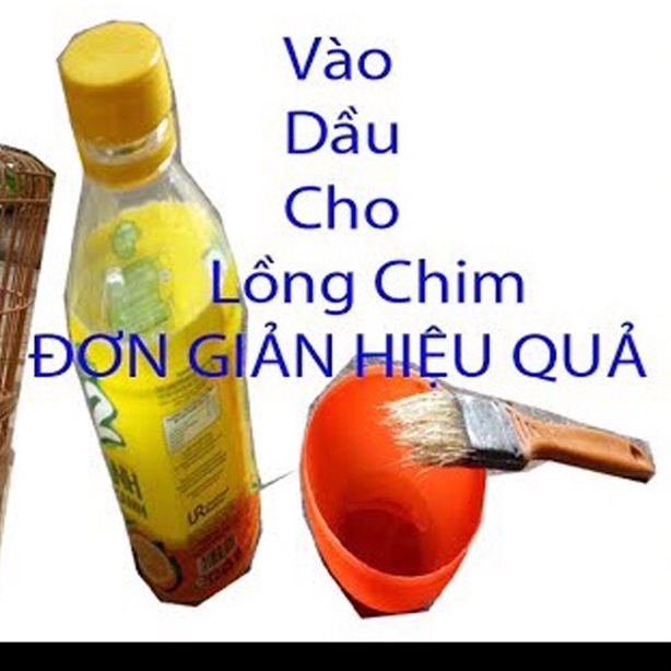 [Mã PET50K giảm Giảm 10% - Tối đa 50K đơn từ 250K] Phụ kiện lồng chim Minibica Dầu quét lồng chim giá siêu hấp dẫn PK12