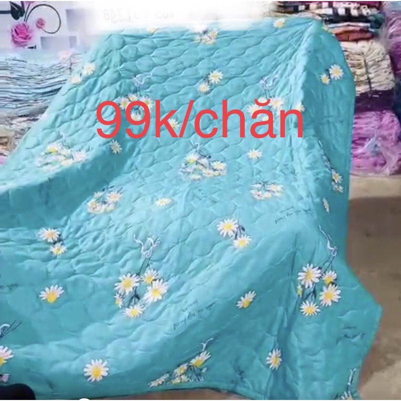 Chăn hè-cúc hoạ mi