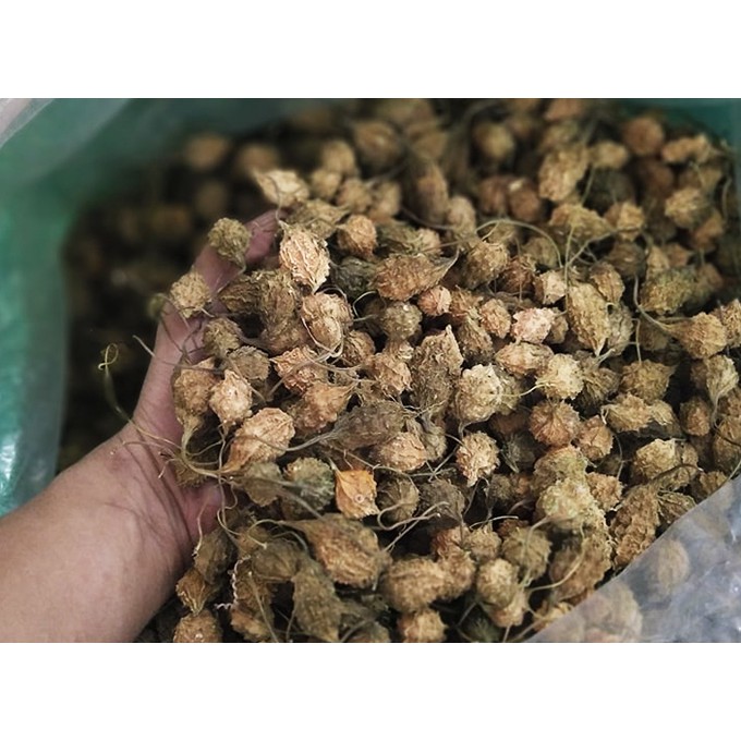 -  khổ qua rừng sấy khô gói lẻ 250g - Khổ qua rừng ổn định đường huyết và hạ mỡ máu