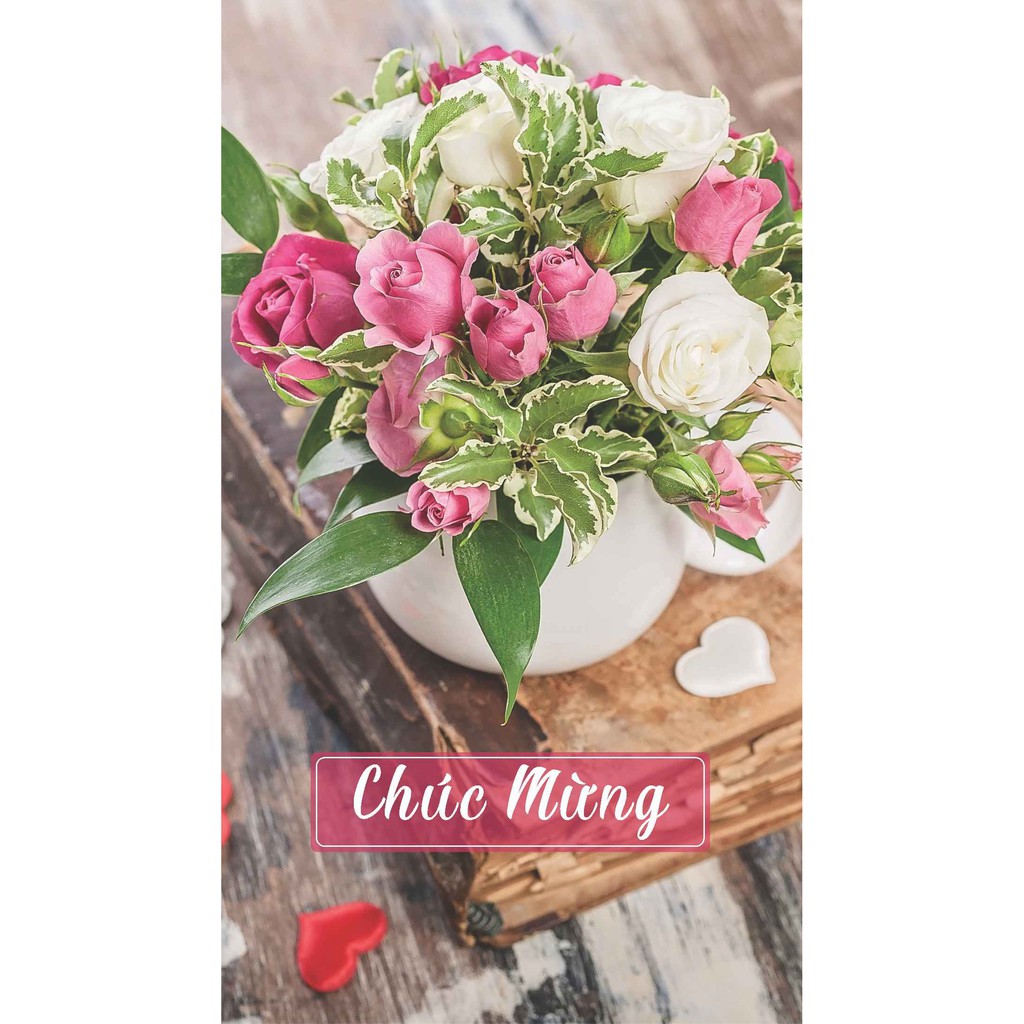 Thiệp chúc mừng