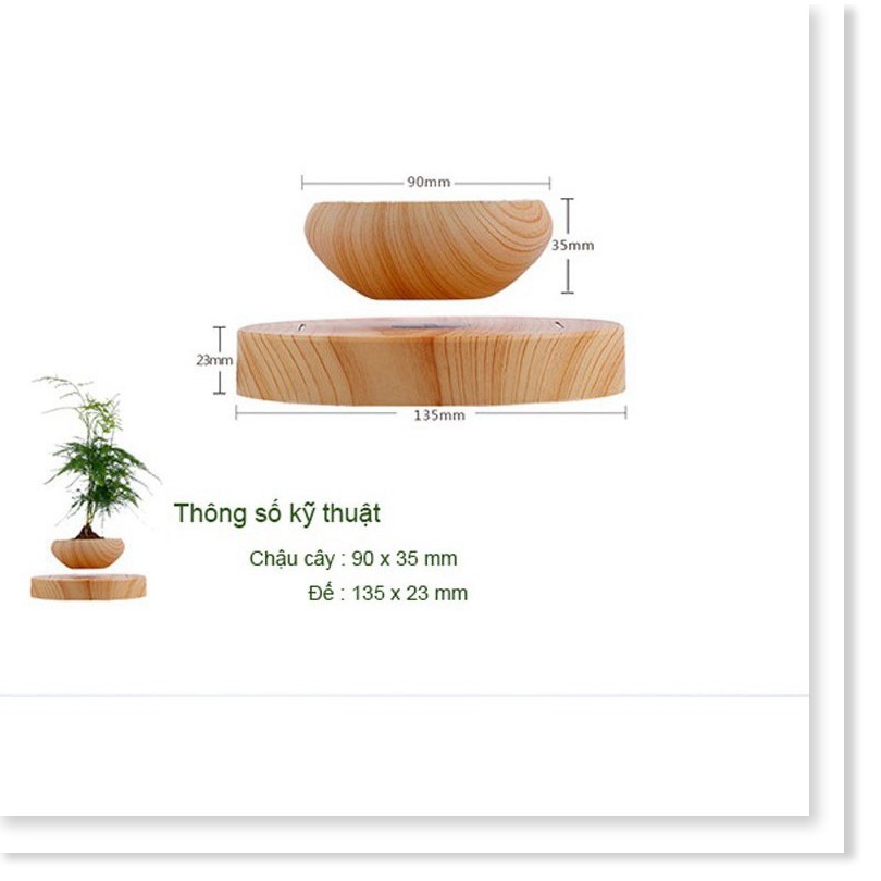 🔖 [HnL] Chậu cây bay bonsai, chậu cây bay