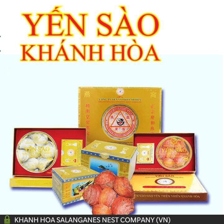 YẾN TỔ ĐẢO THIÊN NHIÊN SANEST KHÁNH HÒA - HỘP 100G