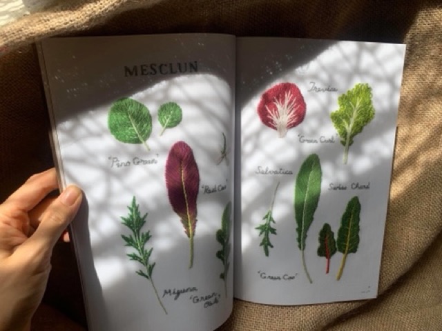 Set hướng dẫn thêu chủ đề “KITCHEN GARDEN”