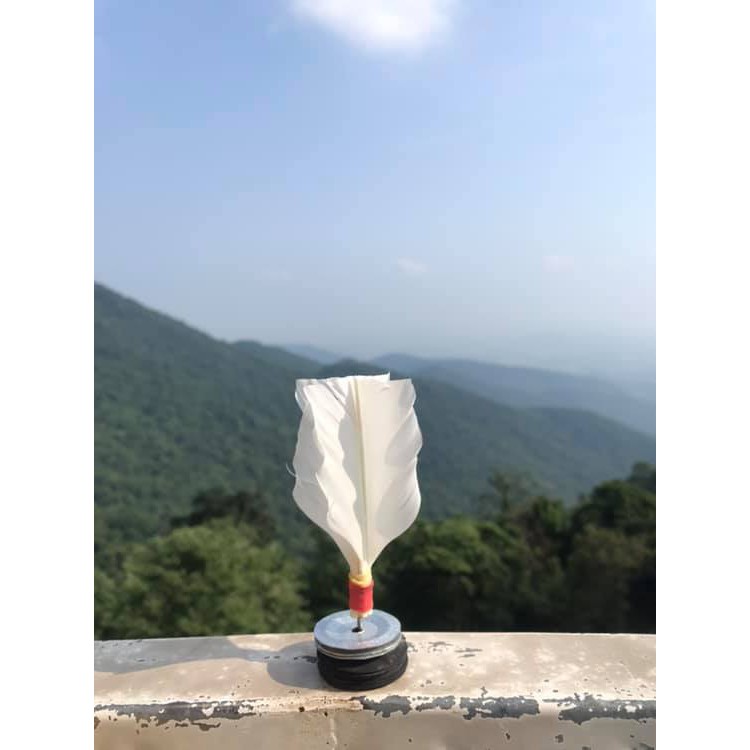 Cầu đá lông gà