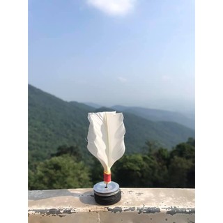 Cầu đá lông gà