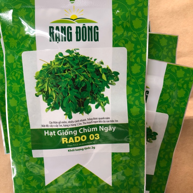 Hạt giống Chùm Ngây