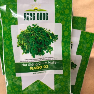 Hạt giống Chùm Ngây