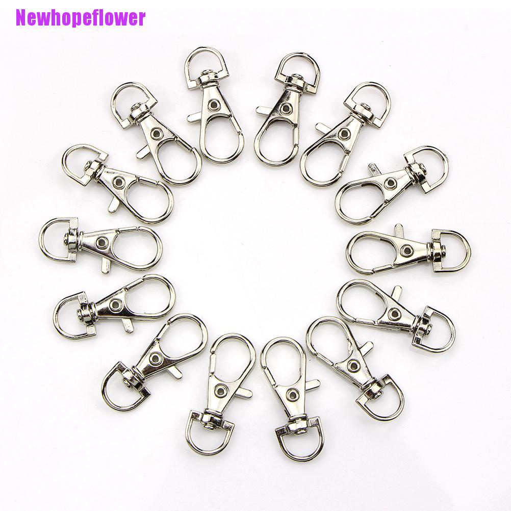 Bộ 10 Hình Tôm Hùm Độc Đáo