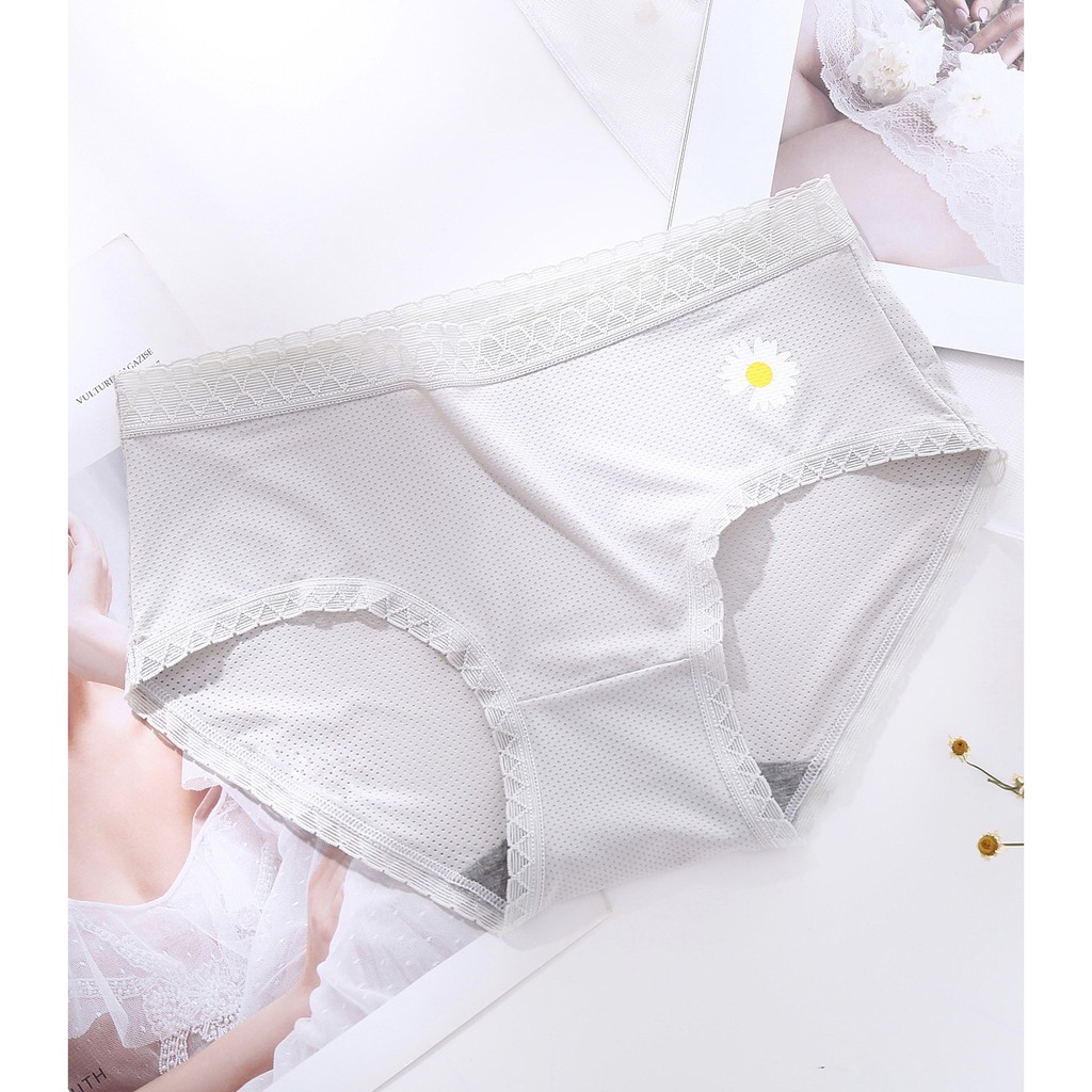 Quần Lót Nữ Su Đúc Thông Hơi Hoa Cúc Kháng Khuẩn Túi Zip Riêng Biệt - Quần Lót Nữ AirBra Kháng Khuẩn | BigBuy360 - bigbuy360.vn